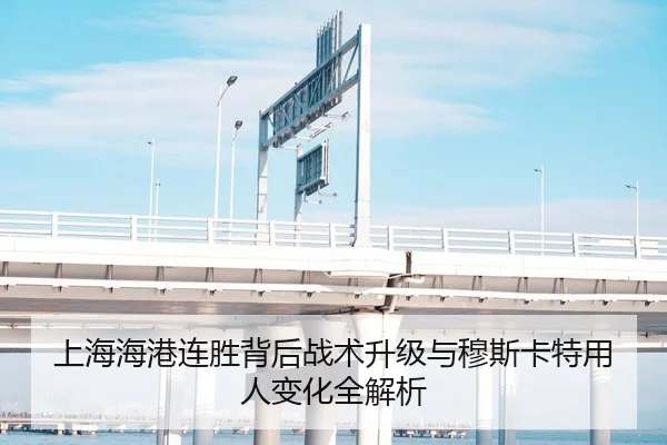 上海海港连胜背后战术升级与穆斯卡特用人变化全解析